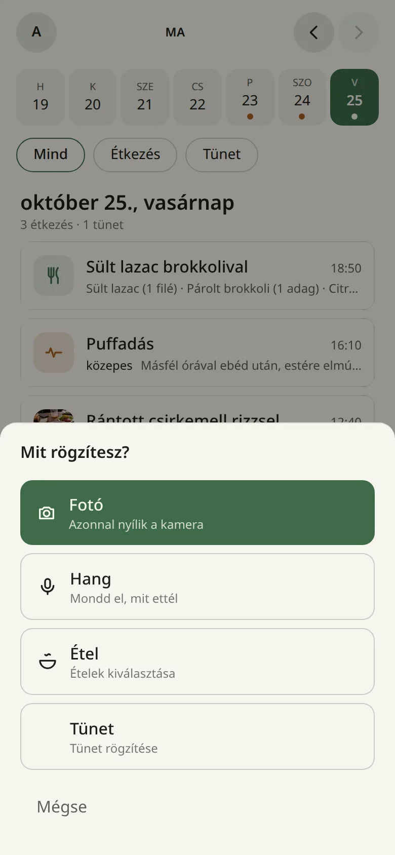A rögzítés lap: fotó, hang, étel és tünet választása.
